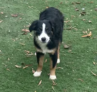 processed/c71a5250-56b3-4e9c-874f-b0f3d904917d/listing/fc0c8629-21ba-4a01-8380-0f58ca810bf1/7557f779-0f8d-4a2c-b653-45062183deae