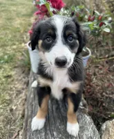 processed/c71a5250-56b3-4e9c-874f-b0f3d904917d/listing/fc0c8629-21ba-4a01-8380-0f58ca810bf1/81366473-9aa7-4ed3-b943-1a1aa1e57c56