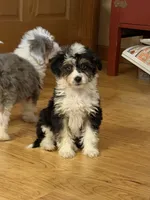 processed/c71a5250-56b3-4e9c-874f-b0f3d904917d/listing/fea0344f-0ab5-4cb1-8d5b-4eb8d30b13e7/113de1ec-fe14-4eb9-9d7e-46f418da840d