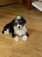 processed/c71a5250-56b3-4e9c-874f-b0f3d904917d/listing/fea0344f-0ab5-4cb1-8d5b-4eb8d30b13e7/1440c192-bcb0-40f5-8fbb-ade78bcc71ce