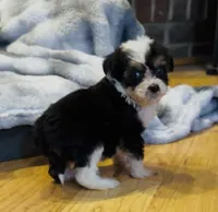 processed/c71a5250-56b3-4e9c-874f-b0f3d904917d/listing/fea0344f-0ab5-4cb1-8d5b-4eb8d30b13e7/67fe06d2-f43a-4e8a-bc1e-097004240189