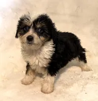 processed/c71a5250-56b3-4e9c-874f-b0f3d904917d/listing/fea0344f-0ab5-4cb1-8d5b-4eb8d30b13e7/a5c9e927-b199-4f55-b93c-c355a9f3984e