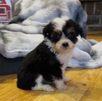 processed/c71a5250-56b3-4e9c-874f-b0f3d904917d/listing/fea0344f-0ab5-4cb1-8d5b-4eb8d30b13e7/a9cc7442-754c-4314-9f26-9711d6c20fe4