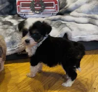 processed/c71a5250-56b3-4e9c-874f-b0f3d904917d/listing/fea0344f-0ab5-4cb1-8d5b-4eb8d30b13e7/bdae93fb-bd20-4003-8193-4a4784a4957c