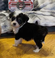 processed/c71a5250-56b3-4e9c-874f-b0f3d904917d/listing/fea0344f-0ab5-4cb1-8d5b-4eb8d30b13e7/c63c48fb-55c3-43f6-8d21-217b06c4f0be