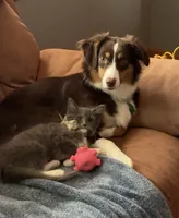 processed/c71af233-18c5-4867-b9fc-a4096d177367/listing/94d90cab-4500-46a5-b613-025781522d8d/1fdc5a89-f755-41fb-b40b-08d5b7c0108b