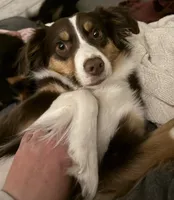 processed/c71af233-18c5-4867-b9fc-a4096d177367/listing/94d90cab-4500-46a5-b613-025781522d8d/9e05911a-d37c-4acb-b343-fd73c6429b86