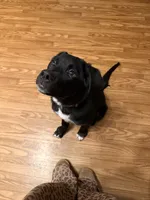 processed/c71af233-18c5-4867-b9fc-a4096d177367/listing/c1f94cd3-ec4e-4657-aea4-b7bdf07157c1/f23a6e7d-c94d-4773-85e7-5f48bd8ca22b