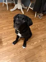 processed/c71af233-18c5-4867-b9fc-a4096d177367/listing/c1f94cd3-ec4e-4657-aea4-b7bdf07157c1/fb91742f-03ca-4834-b2ba-d0793960d7dc