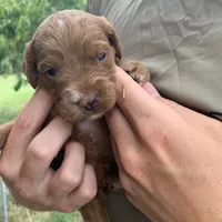 processed/c73836ae-4eac-411b-a70f-d66401a16908/facility/02d9c532-52ce-4f23-85a7-f6e8a57586e0