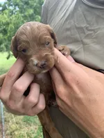 processed/c73836ae-4eac-411b-a70f-d66401a16908/facility/02d9c532-52ce-4f23-85a7-f6e8a57586e0