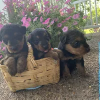 processed/c73836ae-4eac-411b-a70f-d66401a16908/facility/28966fde-929d-4c37-bb75-d147e71b0bc1