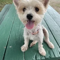 processed/c73836ae-4eac-411b-a70f-d66401a16908/facility/33562987-2c02-4b79-a3ec-a8b9c0be7a49