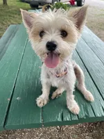 processed/c73836ae-4eac-411b-a70f-d66401a16908/facility/33562987-2c02-4b79-a3ec-a8b9c0be7a49