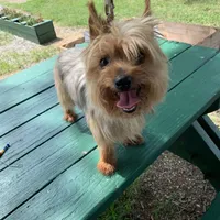 processed/c73836ae-4eac-411b-a70f-d66401a16908/facility/70ff7eb9-911b-4366-b987-491d76f73d2a