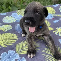 processed/c73836ae-4eac-411b-a70f-d66401a16908/facility/76b91b88-7a1c-4642-9ad1-f009eab450f8