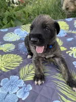 processed/c73836ae-4eac-411b-a70f-d66401a16908/facility/76b91b88-7a1c-4642-9ad1-f009eab450f8