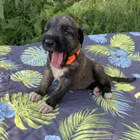 processed/c73836ae-4eac-411b-a70f-d66401a16908/facility/778db010-fcc1-4c3d-b4e4-711833c17945