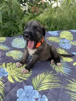 processed/c73836ae-4eac-411b-a70f-d66401a16908/facility/778db010-fcc1-4c3d-b4e4-711833c17945