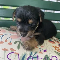 processed/c73836ae-4eac-411b-a70f-d66401a16908/facility/8bbe76bd-84ce-4d4b-9cf4-b3f3afe09745