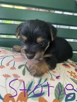 processed/c73836ae-4eac-411b-a70f-d66401a16908/facility/8bbe76bd-84ce-4d4b-9cf4-b3f3afe09745