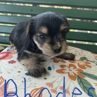 processed/c73836ae-4eac-411b-a70f-d66401a16908/facility/a52262ec-9d99-41a1-ae20-0f29aa410c57