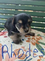 processed/c73836ae-4eac-411b-a70f-d66401a16908/facility/a52262ec-9d99-41a1-ae20-0f29aa410c57