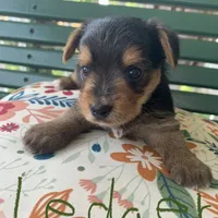 processed/c73836ae-4eac-411b-a70f-d66401a16908/facility/b1f16fe7-b3b9-439a-84ce-82612399b987