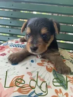 processed/c73836ae-4eac-411b-a70f-d66401a16908/facility/b1f16fe7-b3b9-439a-84ce-82612399b987