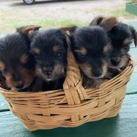 processed/c73836ae-4eac-411b-a70f-d66401a16908/facility/cea8cdab-fcdf-4e3c-a0b2-2a88841399c3