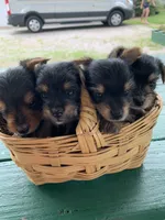 processed/c73836ae-4eac-411b-a70f-d66401a16908/facility/cea8cdab-fcdf-4e3c-a0b2-2a88841399c3