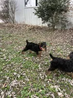 processed/c73836ae-4eac-411b-a70f-d66401a16908/listing/0e818c1c-3c72-4523-b6b9-386e2144ad89/26b095e6-f9f2-4860-87ab-14ac9bb36439