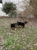 processed/c73836ae-4eac-411b-a70f-d66401a16908/listing/0e818c1c-3c72-4523-b6b9-386e2144ad89/2c5bc0e6-9185-47b2-b7f4-4c822de60da2