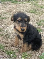 processed/c73836ae-4eac-411b-a70f-d66401a16908/listing/0e818c1c-3c72-4523-b6b9-386e2144ad89/46359dfa-2beb-43da-b4ee-5ac19274bd51