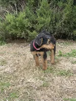 processed/c73836ae-4eac-411b-a70f-d66401a16908/listing/0e818c1c-3c72-4523-b6b9-386e2144ad89/9d652a97-2ac1-4719-af01-f7162b75674c