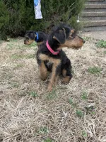 processed/c73836ae-4eac-411b-a70f-d66401a16908/listing/0e818c1c-3c72-4523-b6b9-386e2144ad89/f939eaaa-0681-4c7c-bf40-7dc2b3b0a905