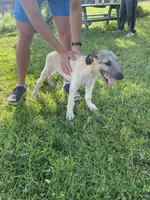 processed/c73836ae-4eac-411b-a70f-d66401a16908/listing/235fda5a-2015-47bd-826d-1cf9c9022301/054292a4-60ff-4ab8-a41d-871a6c4c37da