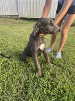 processed/c73836ae-4eac-411b-a70f-d66401a16908/listing/235fda5a-2015-47bd-826d-1cf9c9022301/08b3cfe8-e119-41f5-9f41-273dfb81488c