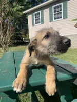 processed/c73836ae-4eac-411b-a70f-d66401a16908/listing/235fda5a-2015-47bd-826d-1cf9c9022301/c5252ecf-394c-4d50-9cd5-cc2e281e964e