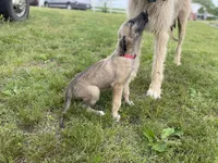 processed/c73836ae-4eac-411b-a70f-d66401a16908/listing/235fda5a-2015-47bd-826d-1cf9c9022301/f9356d8b-3fb5-4764-987b-dcfcc3dbe904