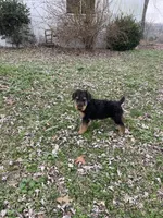 processed/c73836ae-4eac-411b-a70f-d66401a16908/listing/a3926cdb-a9a2-4d17-b1de-069842b48ba0/a67d212d-1fbb-421d-b90c-25fa68ad7a47