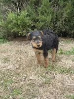 processed/c73836ae-4eac-411b-a70f-d66401a16908/listing/a3926cdb-a9a2-4d17-b1de-069842b48ba0/e58d2ec7-4208-48ed-95f7-25bccfac2d6d