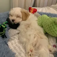 processed/c73ad6b1-48f9-4879-9287-61d6b5c207a5/facility/030ddfc5-7764-4976-b78b-150b42907e93