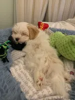 processed/c73ad6b1-48f9-4879-9287-61d6b5c207a5/facility/030ddfc5-7764-4976-b78b-150b42907e93