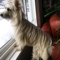 processed/c73ad6b1-48f9-4879-9287-61d6b5c207a5/facility/5955bef0-077d-4437-9e01-03c5c2e1005f