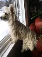 processed/c73ad6b1-48f9-4879-9287-61d6b5c207a5/facility/5955bef0-077d-4437-9e01-03c5c2e1005f