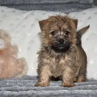 processed/c73ad6b1-48f9-4879-9287-61d6b5c207a5/facility/de70b179-b0dc-4ac6-b065-992f5e2b928c