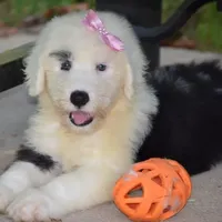 processed/c73ad6b1-48f9-4879-9287-61d6b5c207a5/facility/ffa589ce-0c11-4f73-b3e0-804a316ec757