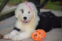 processed/c73ad6b1-48f9-4879-9287-61d6b5c207a5/facility/ffa589ce-0c11-4f73-b3e0-804a316ec757