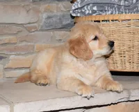 processed/c73ad6b1-48f9-4879-9287-61d6b5c207a5/listing/120cca76-678d-4065-8235-9a012c6ef937/3077515e-20ef-4146-9d77-587112d13b6b